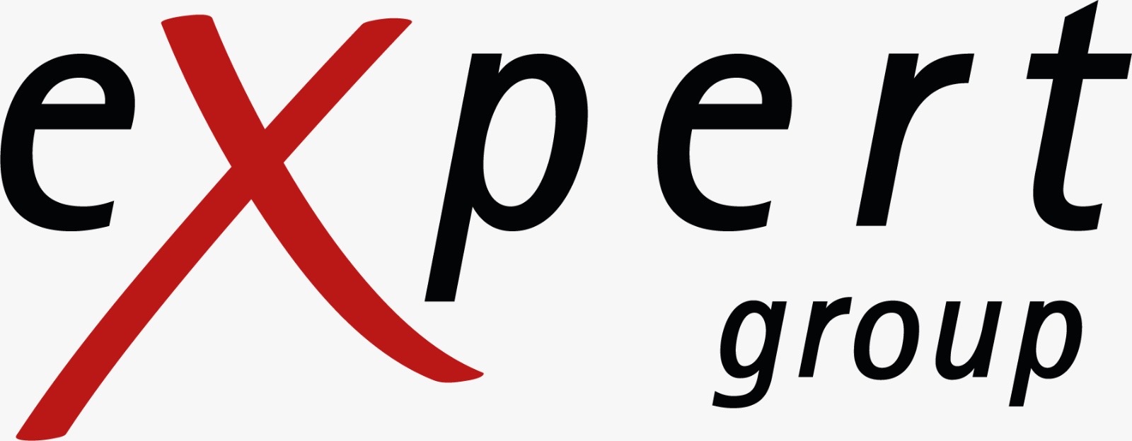 Expert Group